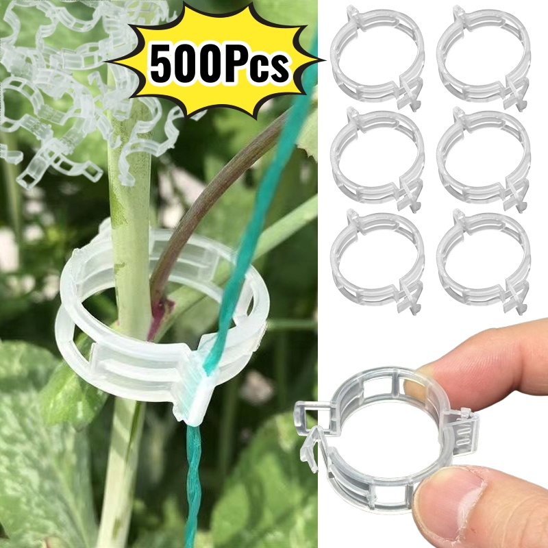 Vine Climbing Plastic - 500 Clips de Plástico para Soporte