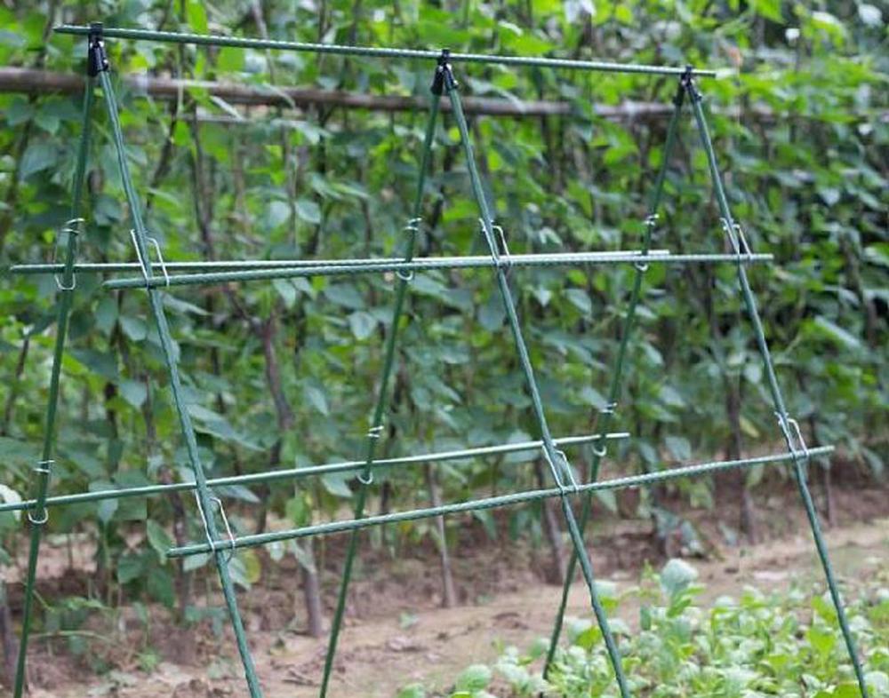 Enrejado de soporte para plant - Vine Climbing Plastic reseña y precio