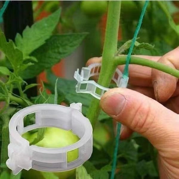 500 Clips de Plástico para Sop - Vine Climbing Plastic reseña y precio