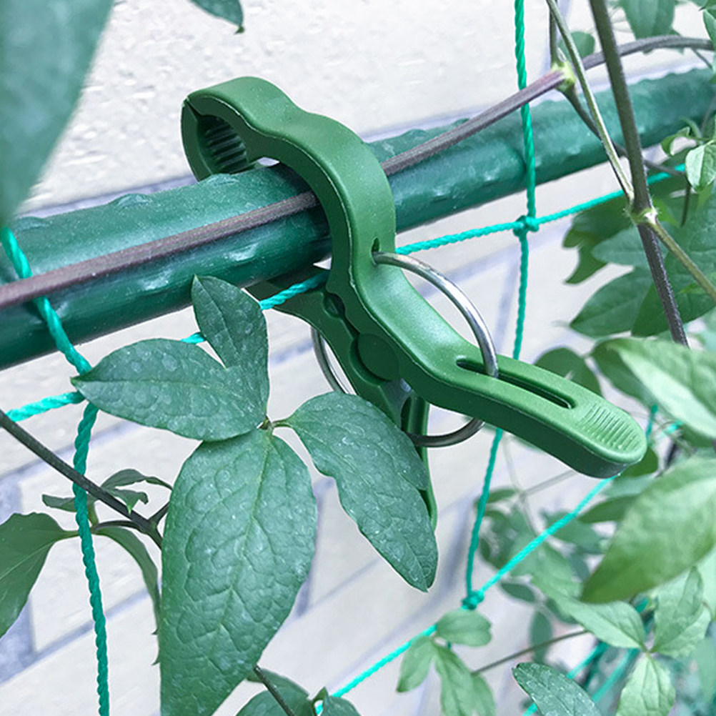 60 Clips de Plástico para Plan - Vine Climbing Plastic reseña y precio