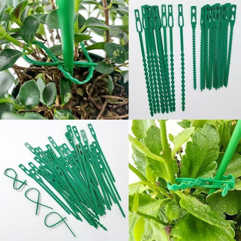 Cintas de Plástico Reutilizabl - Vine Climbing Plastic reseña y precio